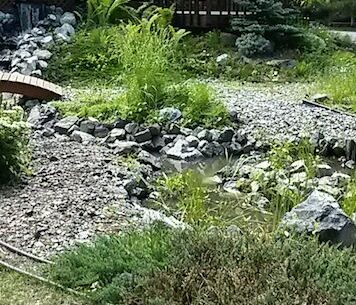 residential and professional rock garden design